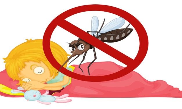Application Android : Anti Moustique – Gadget