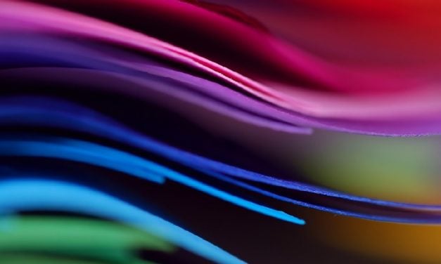 Ligne grisée : Afficher la couleur d&rsquo;accentuation